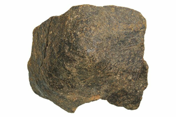 Chondrite Meteorite ( g) - Western Sahara Desert #296239